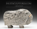 14" Enchanting Muskox by Simeonie Killiktee
