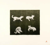 1989 THE FOX AND THE RABBIT by Mary Pudlat