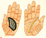 2013 TUNIQTAVINIIT (ARTIFACTS) by Siassie Kenneally