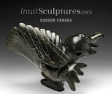 14"  SIGNATURE Dancing Bird by Toonoo Sharky *Glee*