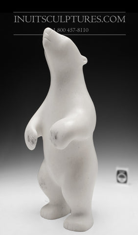15" Velvet Marble Standing Bear by Tuk Nuna