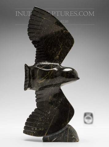 12" Falcon by Luca Mikkigak *Fly By*