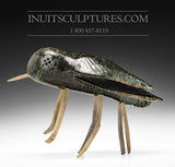 10" Dragon Fly Critter by Kelly Etidloie