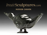 10" Crouching Goose by Ning Ashoona *Goose Down*