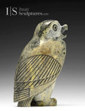 Hibou SIGNATURE 8" (pierre de couleur rare) par Pits Qimirpik *Julius*