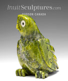 Chouette verte SIGNATURE 5" par Sam Qiatsuk *Perky*