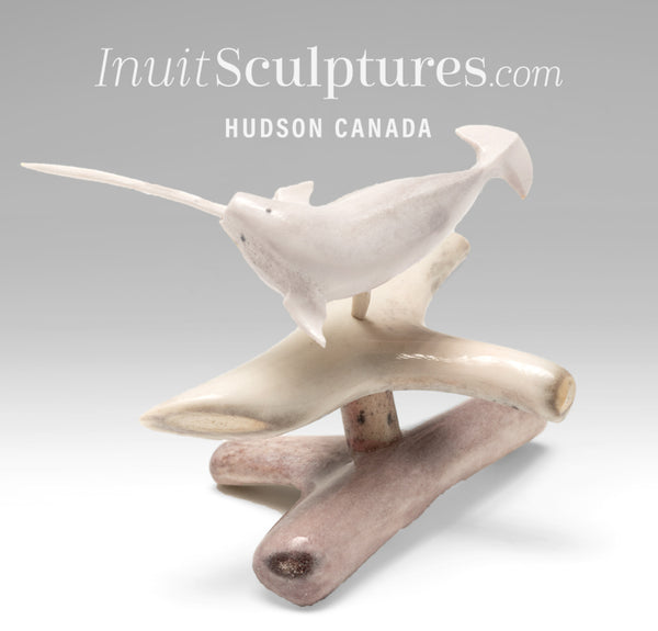 6" Narwhal by Tony Atsanik *Currents Affairs*