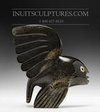 7" Flying Fish by Toonoo Sharky