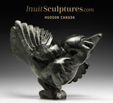 14"  SIGNATURE Dancing Bird by Toonoo Sharky *Glee*