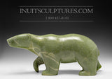16" Unique Colored Walking Bear by Tuk Nuna