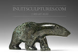 Ours ambulant majestueux 5" David Pudlat